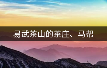 易武茶山的茶莊、馬幫