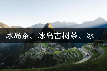 冰島茶、冰島古樹(shù)茶、冰島茶區(qū)茶、冰島茶區(qū)古樹(shù)茶