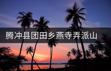 騰沖縣團(tuán)田鄉(xiāng)燕寺弄派山茶廠