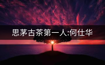 思茅古茶第一人:何仕華