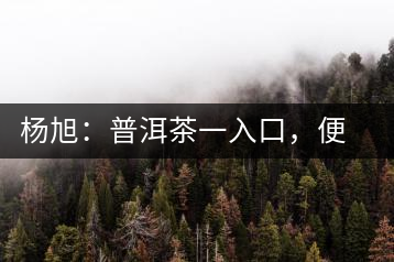 楊旭：普洱茶一入口，便知產(chǎn)地和年份