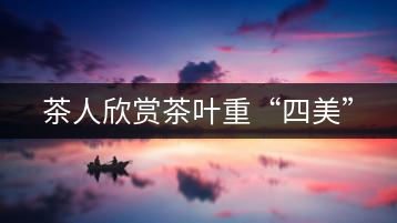 茶人欣賞茶葉重“四美”