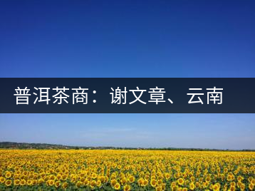普洱茶商：謝文章、云南谷申商貿(mào)有限公司總經(jīng)理