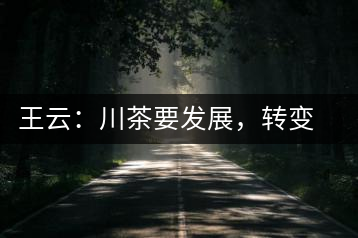 王云：川茶要發(fā)展，轉(zhuǎn)變思想是關(guān)鍵