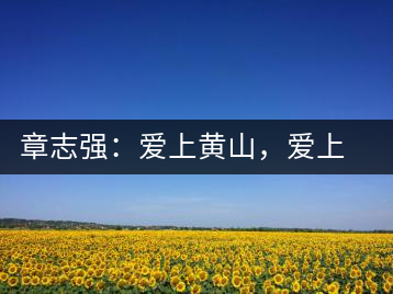 章志強(qiáng)：愛上黃山，愛上黃山的茶