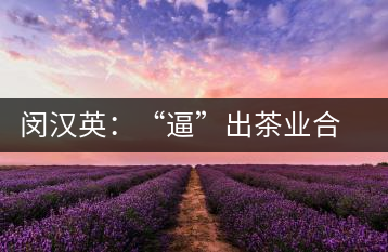 閔漢英：“逼”出茶業(yè)合作社，帶領(lǐng)村民走上致富路