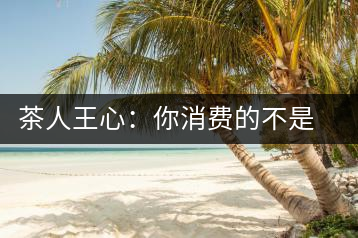 茶人王心：你消費的不是茶，是我