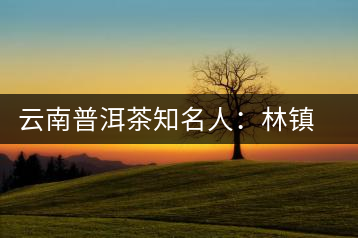 云南普洱茶知名人：林鎮(zhèn)浩