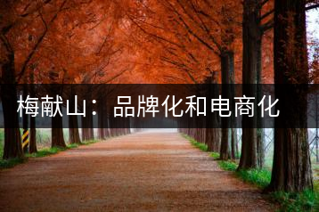 梅獻山：品牌化和電商化成為茶產(chǎn)業(yè)的第三個轉機