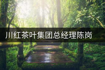 川紅茶葉集團(tuán)總經(jīng)理陳崗的三分天下