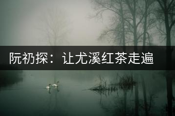 阮礽探:讓尤溪紅茶走遍天下