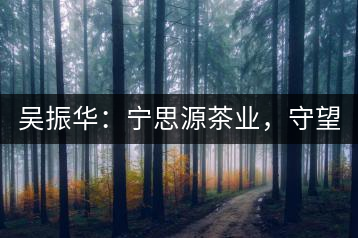 吳振華：寧思源茶業(yè)，守望家鄉(xiāng) 做好“金獎茶王”