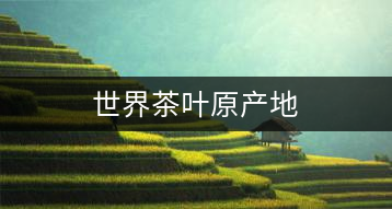 世界茶葉原產地