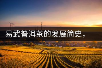 易武普洱茶的發(fā)展簡史，昔日的貢茶如今依然輝煌