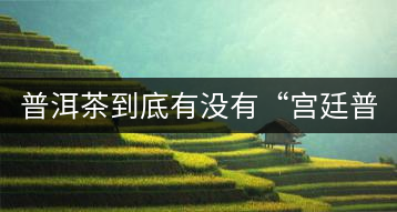普洱茶到底有沒有“宮廷普洱”一說？它到底是什么？