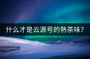 什么才是云源號的熟茶味？