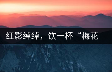 紅影綽綽，飲一杯“梅花”醉