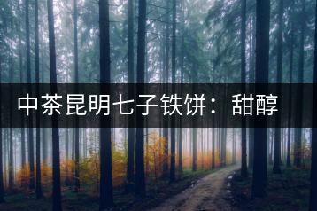 中茶昆明七子鐵餅：甜醇甘潤(rùn)，陳韻綿長(zhǎng)