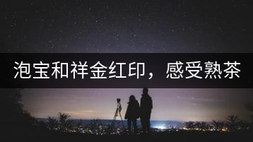 泡寶和祥金紅印，感受熟茶之美。