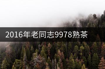 2016年老同志9978熟茶專業(yè)品評