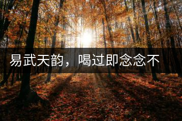 易武天韻，喝過(guò)即念念不忘的茶中皇后