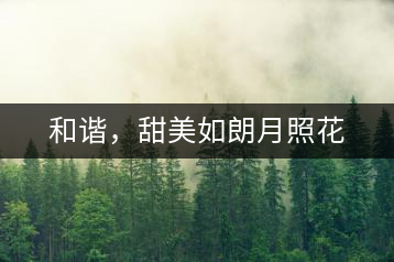 和諧，甜美如朗月照花