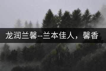 龍潤蘭馨–蘭本佳人，馨香高雅
