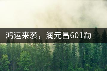鴻運(yùn)來襲，潤(rùn)元昌601勐海紅韻熟茶即將上市
