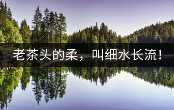 老茶頭的柔，叫細水長流！