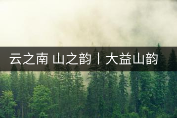 云之南 山之韻丨大益山韻，“韻”味傳奇之山韻歸來