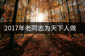 2017年老同志為天下人做好茶生磚+熟磚上市