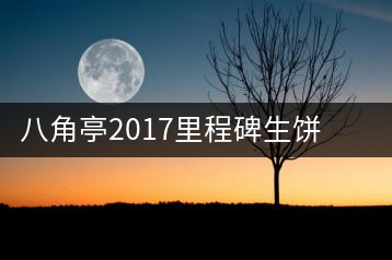 八角亭2017里程碑生餅，擁抱半個(gè)世紀(jì)的情懷