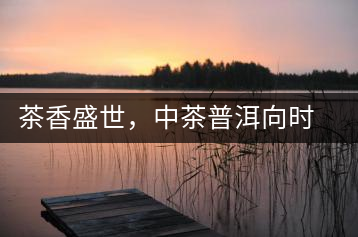 茶香盛世，中茶普洱向時(shí)代獻(xiàn)禮
