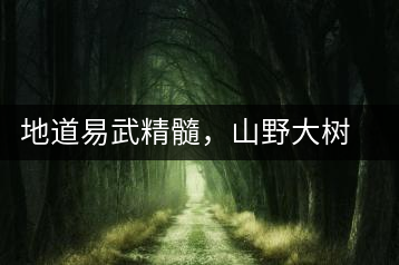 地道易武精髓，山野大樹(shù)珍品—普秀易武生態(tài)喬木圓茶即將上市