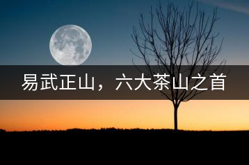 易武正山，六大茶山之首