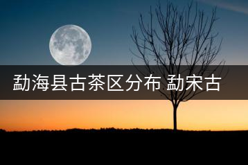 勐?？h古茶區(qū)分布 勐宋古茶山