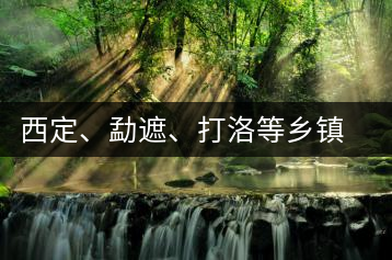 西定、勐遮、打洛等鄉(xiāng)鎮(zhèn)古茶樹資源
