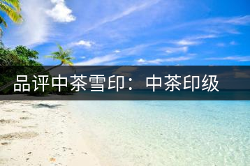 品評中茶雪?。褐胁栌〖壊璧慕?jīng)典傳承