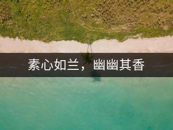 素心如蘭，幽幽其香