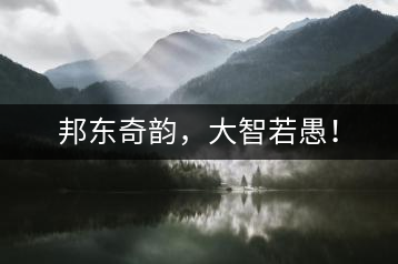 邦東奇韻，大智若愚！