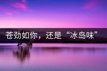 蒼勁如你，還是“冰島味”嗎？