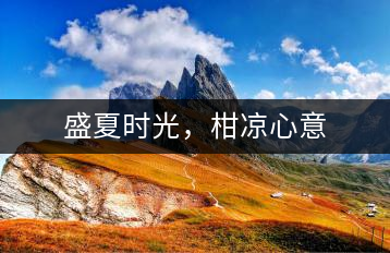 盛夏時光，柑涼心意