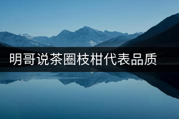 明哥說茶圈枝柑代表品質高點，是玩家級的產品