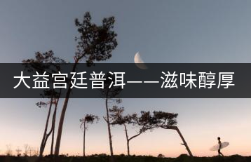 大益宮廷普洱——滋味醇厚，陳香濃郁