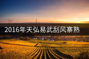 2016年天弘易武刮風(fēng)寨熟茶一泡耐人尋味！