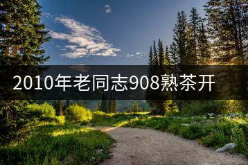 2010年老同志908熟茶開(kāi)湯品鑒