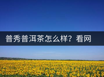 普秀普洱茶怎么樣？看網(wǎng)友精彩回答