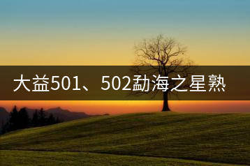 大益501、502勐海之星熟茶