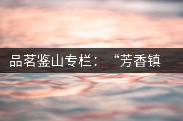 品茗鑒山專欄：“芳香鎮(zhèn)沅”之五一茶