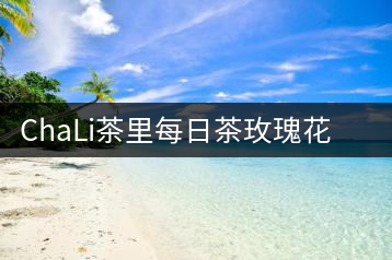 ChaLi茶里每日茶玫瑰花茶包紅茶綠茶普洱茶桂花烏龍桂圓紅棗茶包9